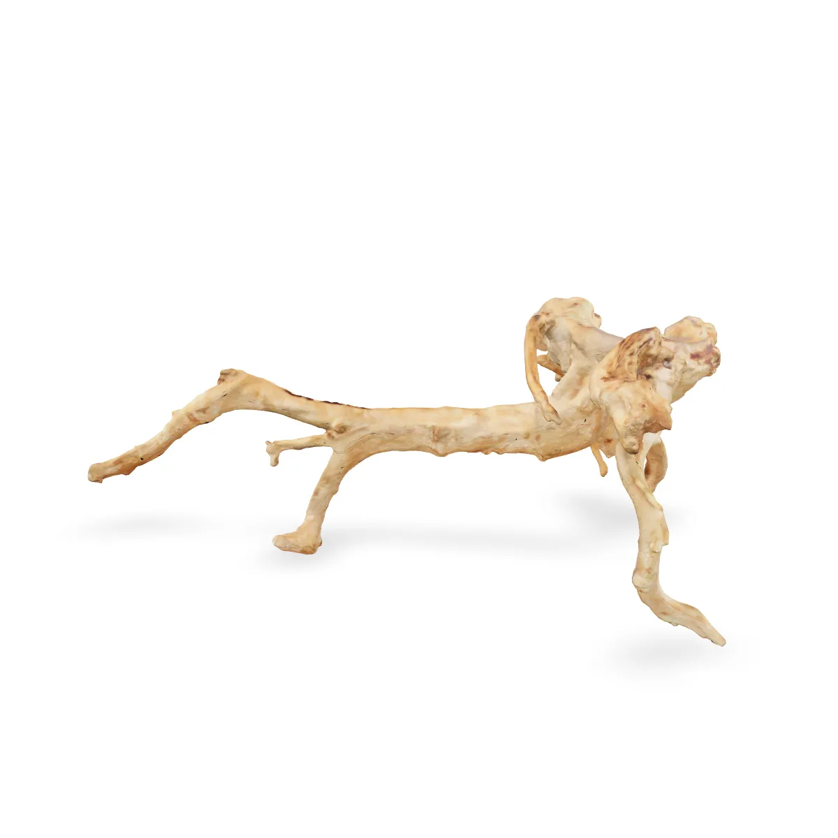 Rote Moorwurzel - Finger Wurzel 3D Nr. 248 (32x21x52cm)