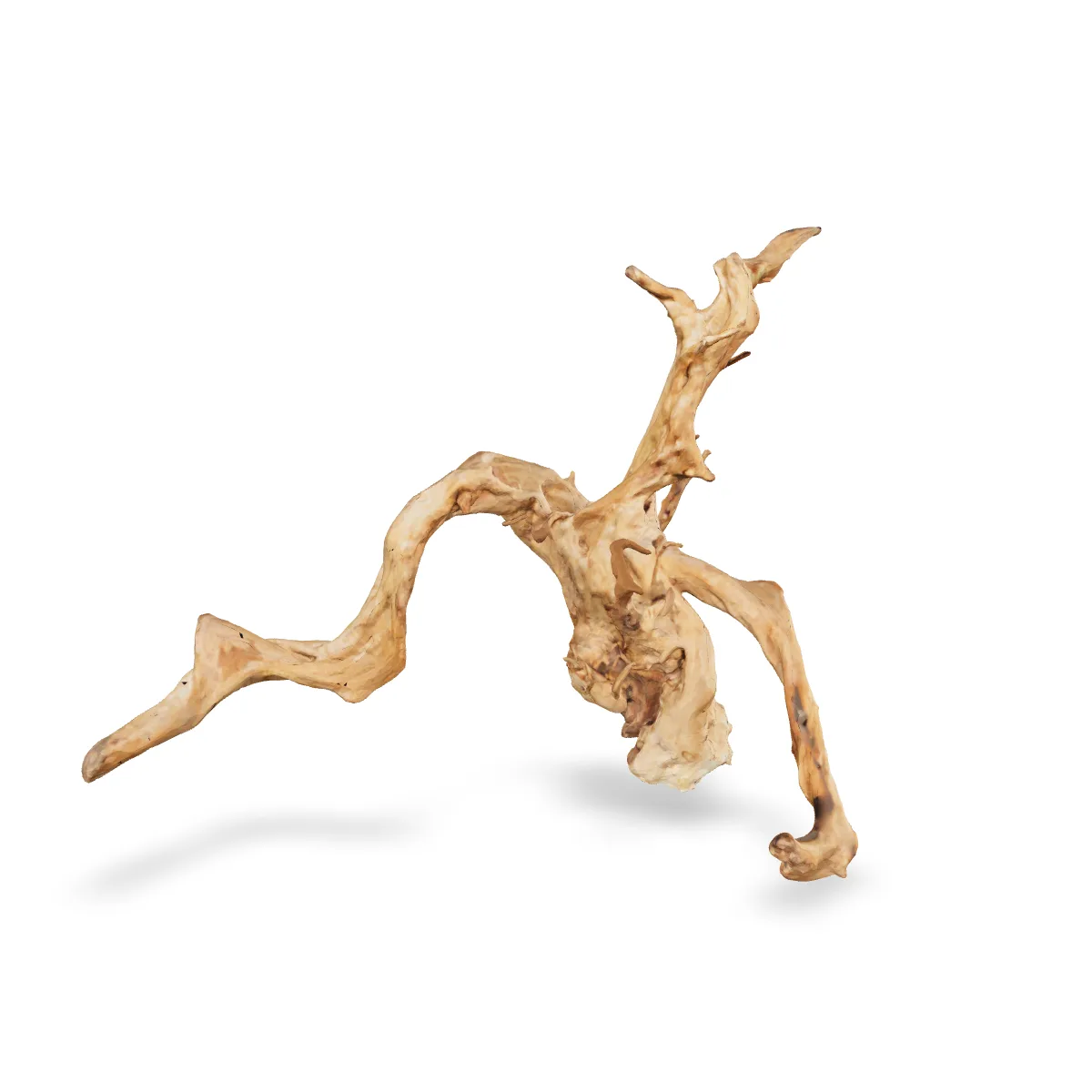 Rote Moorwurzel - Finger Wurzel 3D Nr. 250 (58x48x58cm)