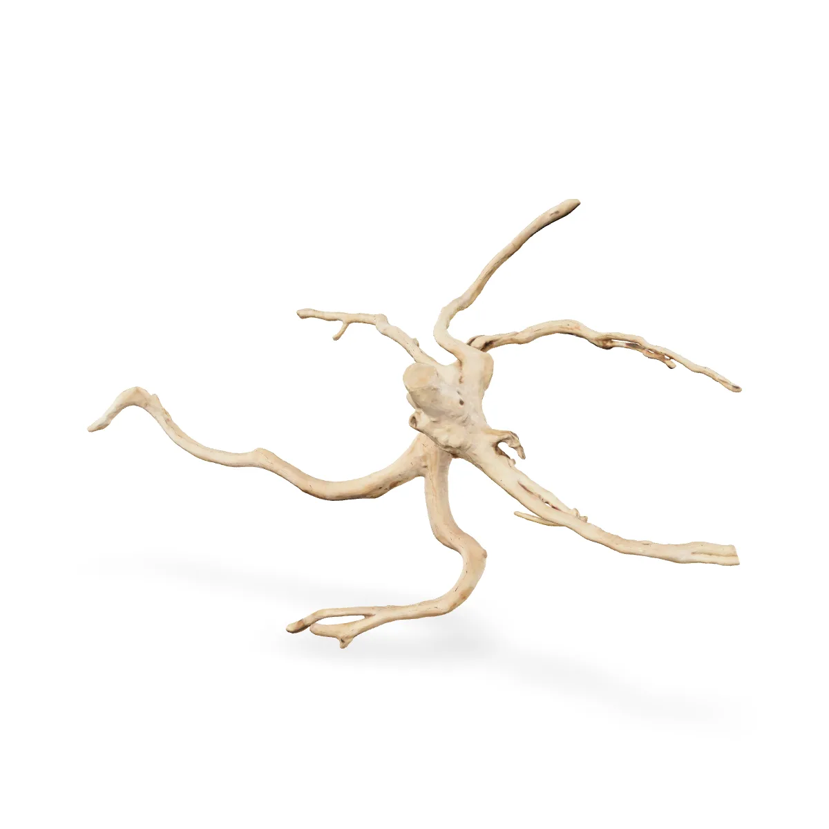 Rote Moorwurzel - Finger Wurzel 3D Nr. 255 (34x42x74cm)
