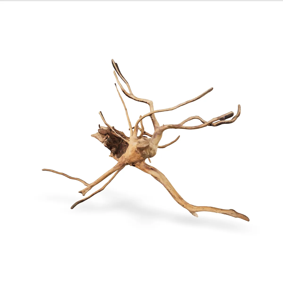 Rote Moorwurzel - Finger Wurzel 3D Nr. 262 (26x48x72cm)