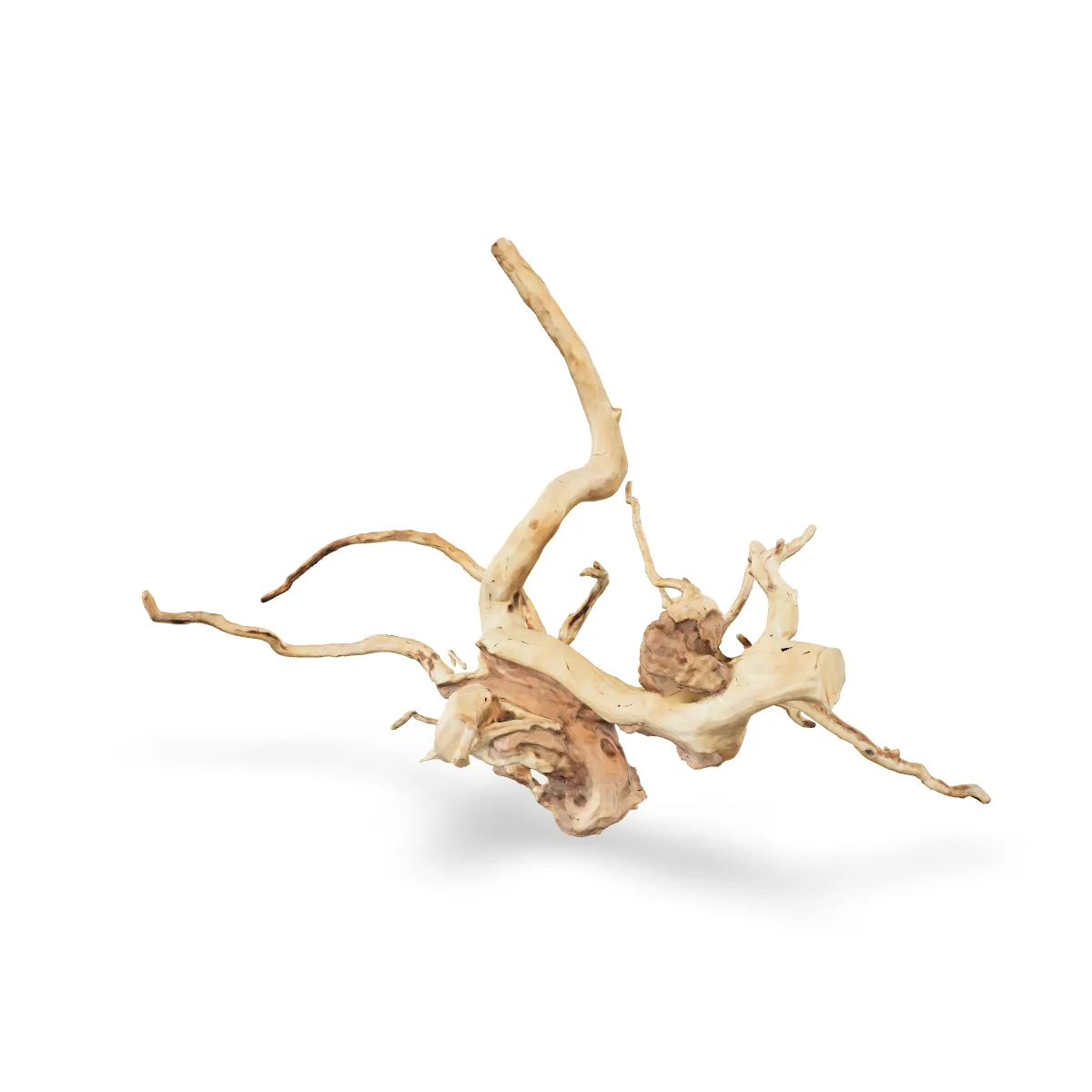 Rote Moorwurzel - Finger Wurzel 3D Nr. 270 (28x41x61cm)