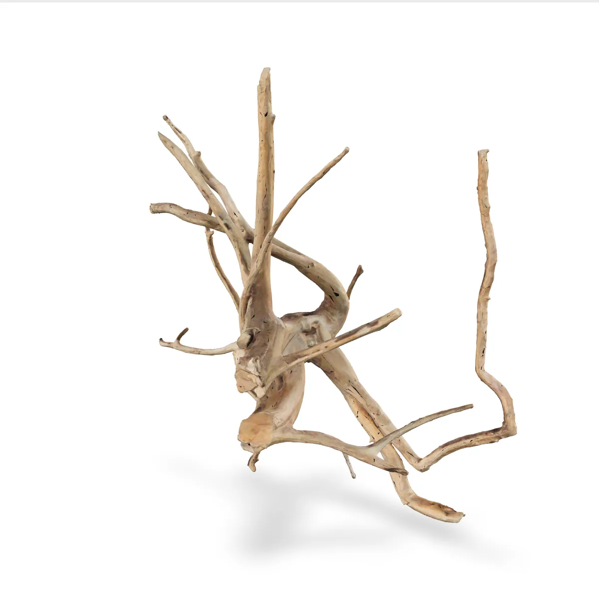 Rote Moorwurzel - Finger Wurzel 3D Nr. 388 (53x28x54cm)