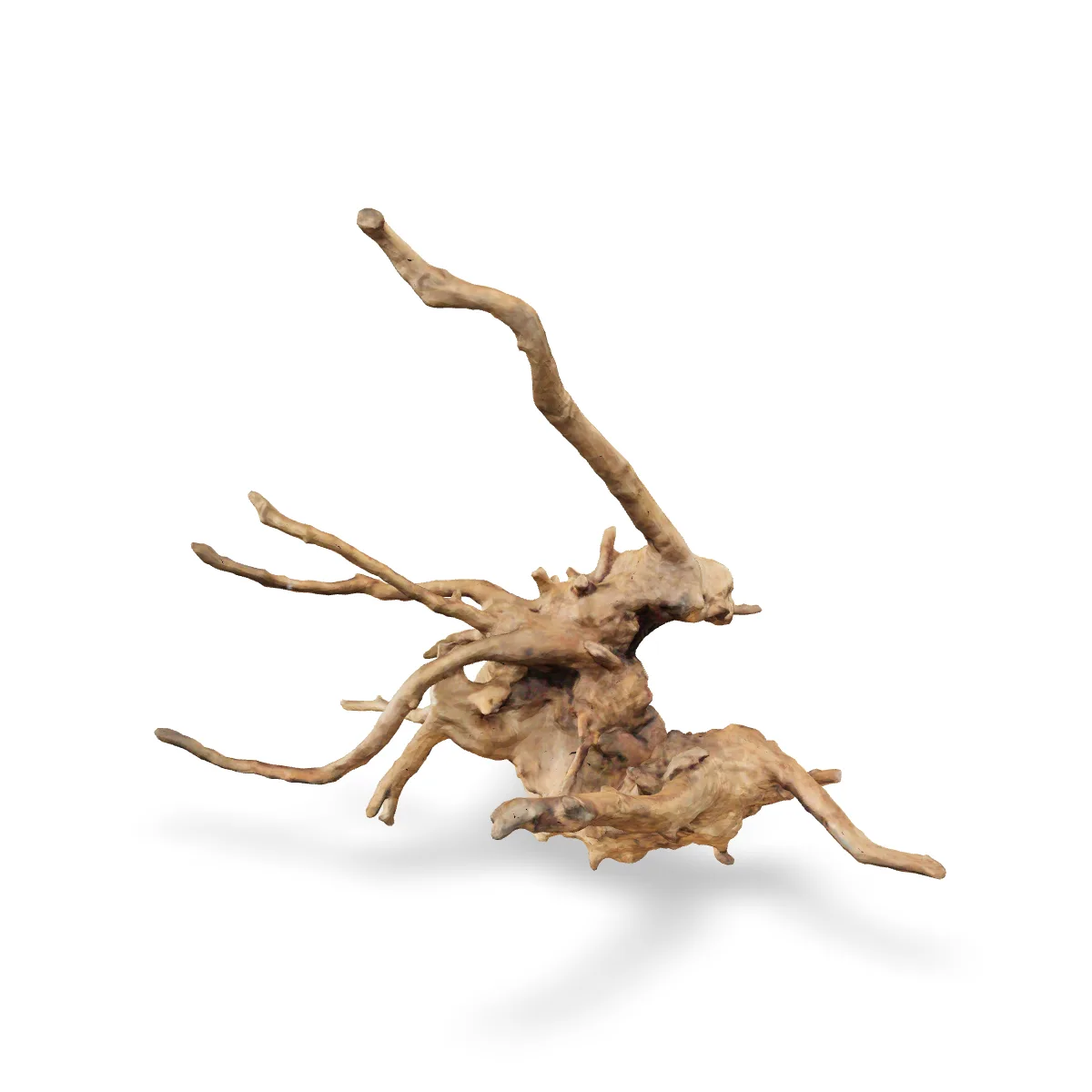 Rote Moorwurzel - Finger Wurzel 3D Nr. 404 (43x34x35cm)