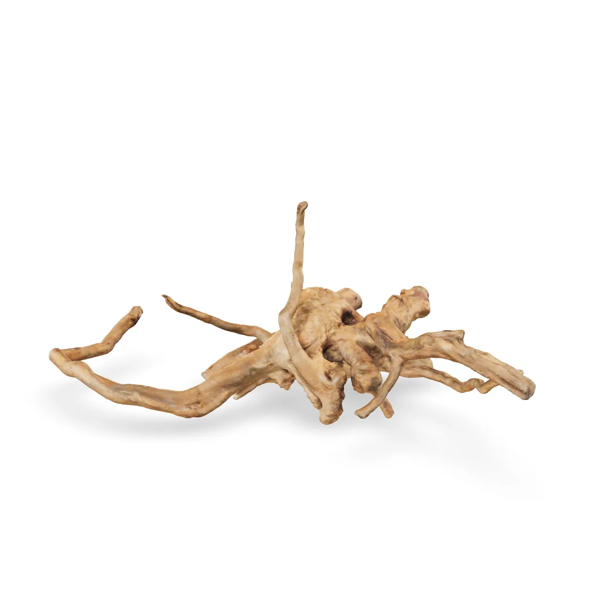 Rote Moorwurzel - Finger Wurzel 3D Nr. 410 (48x26x20cm)