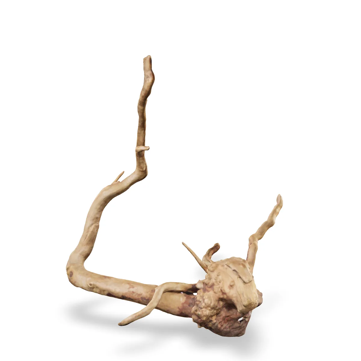 Rote Moorwurzel - Finger Wurzel 3D Nr. 42 (28x30x27cm)
