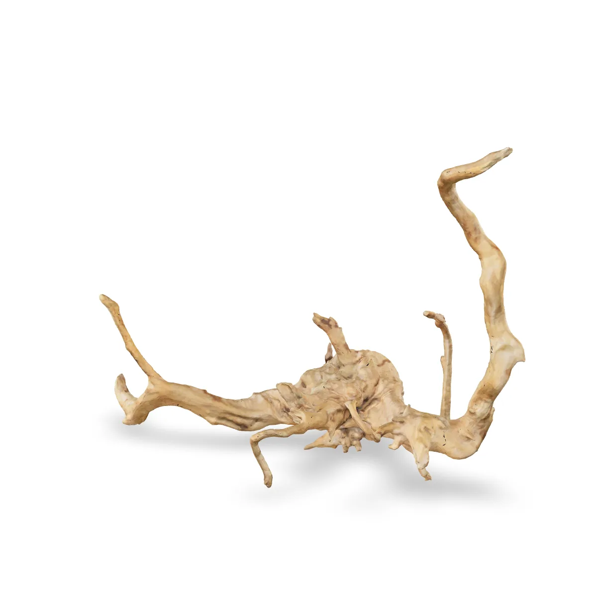 Rote Moorwurzel - Finger Wurzel 3D Nr. 449 (55x25x42cm)