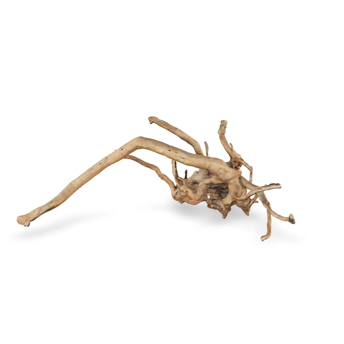 Rote Moorwurzel - Finger Wurzel 3D Nr. 450 (54x40x22cm)