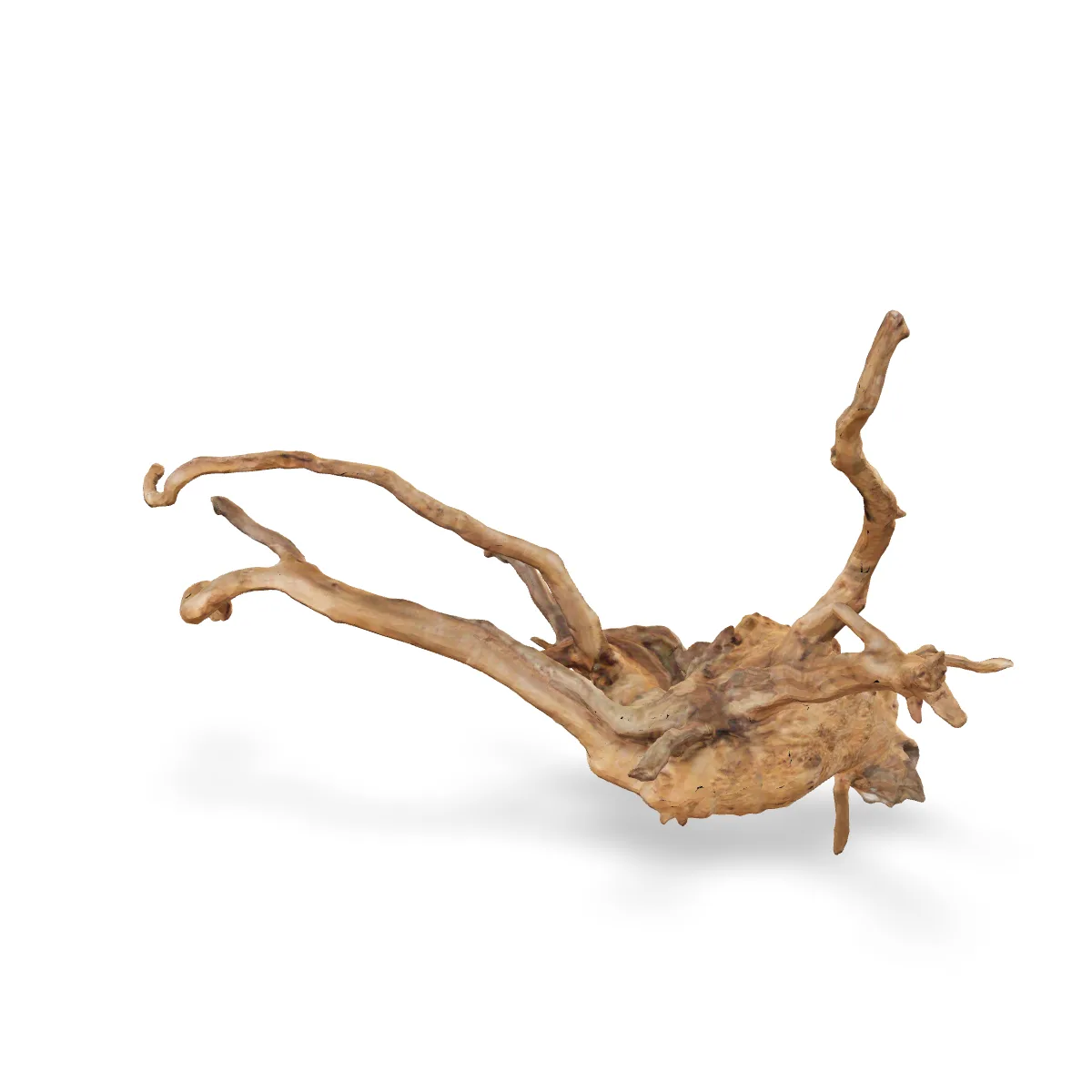 Rote Moorwurzel - Finger Wurzel 3D Nr. 451 (50x21x32cm)
