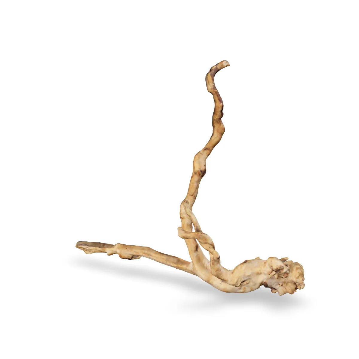 Rote Moorwurzel - Finger Wurzel 3D Nr. 463 (38x16x33cm)