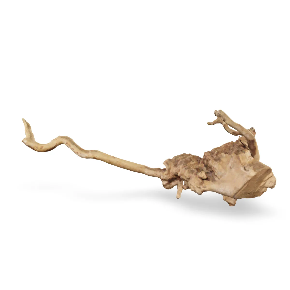 Rote Moorwurzel - Finger Wurzel 3D Nr. 49 (17x12x40cm)