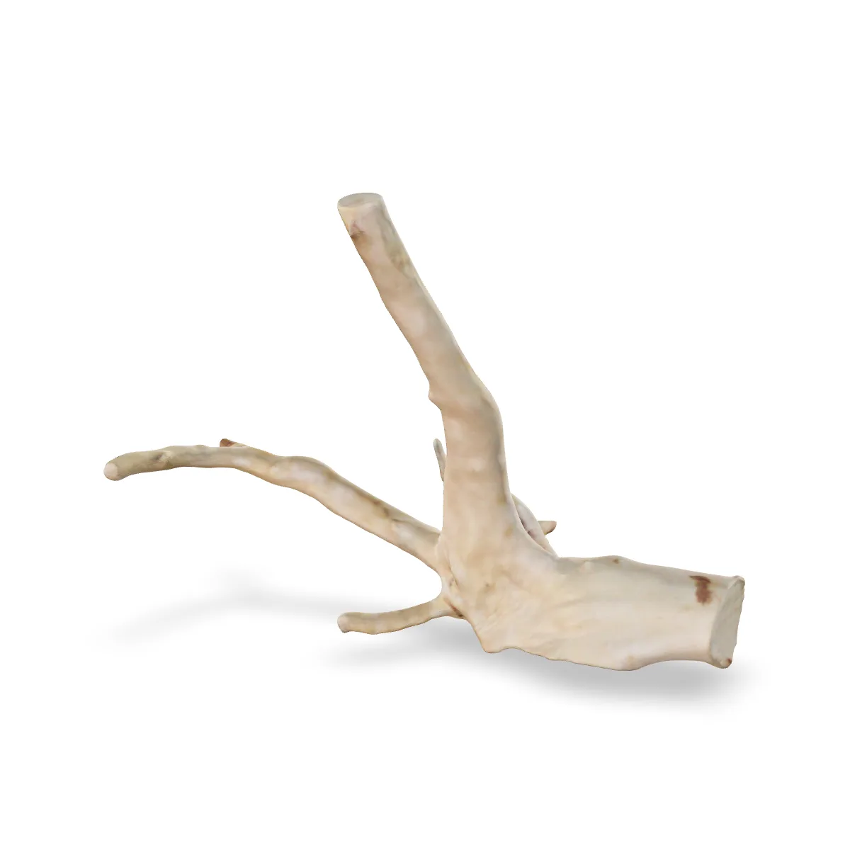 Rote Moorwurzel - Finger Wurzel 3D Nr. 647 (23x9x18cm)