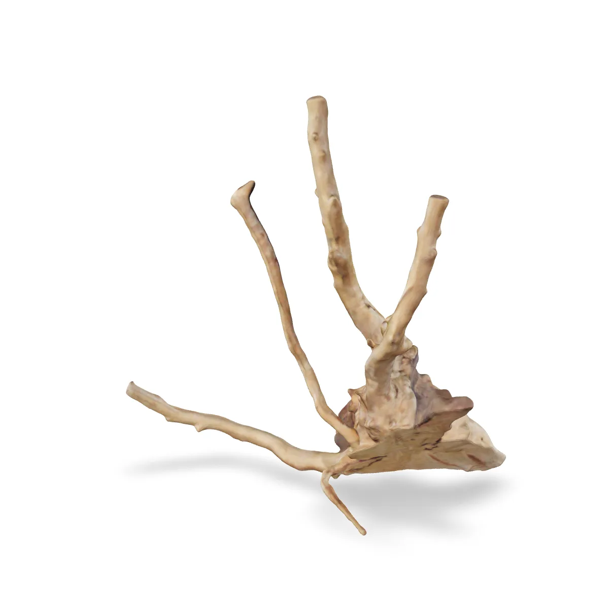Rote Moorwurzel - Finger Wurzel 3D Nr. 648 (20x10x21cm)