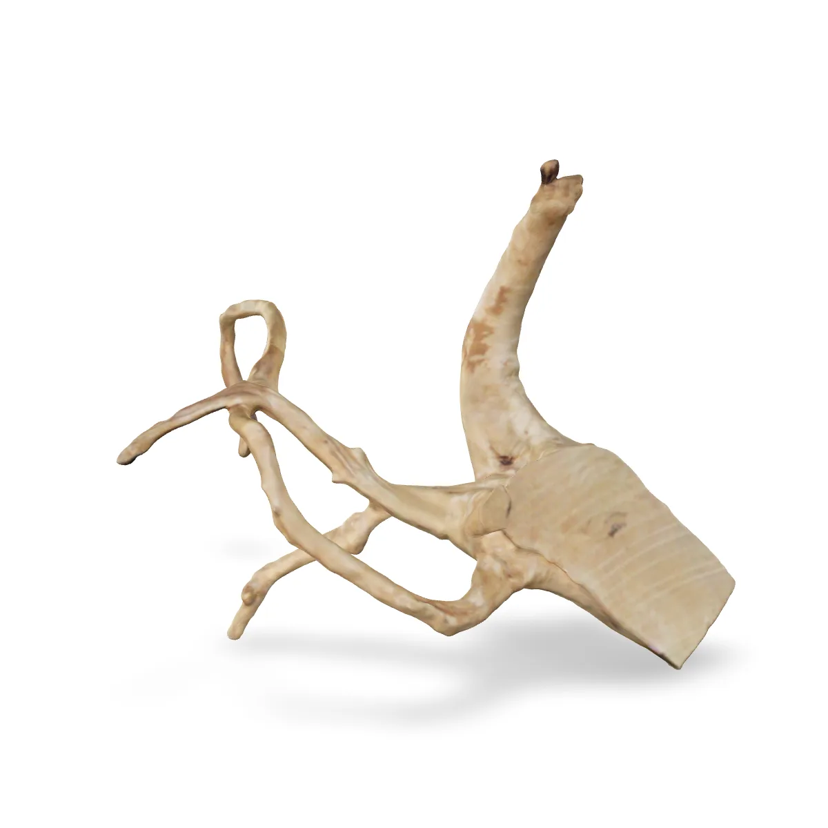 Rote Moorwurzel - Finger Wurzel 3D Nr. 652 (24x15x19cm)