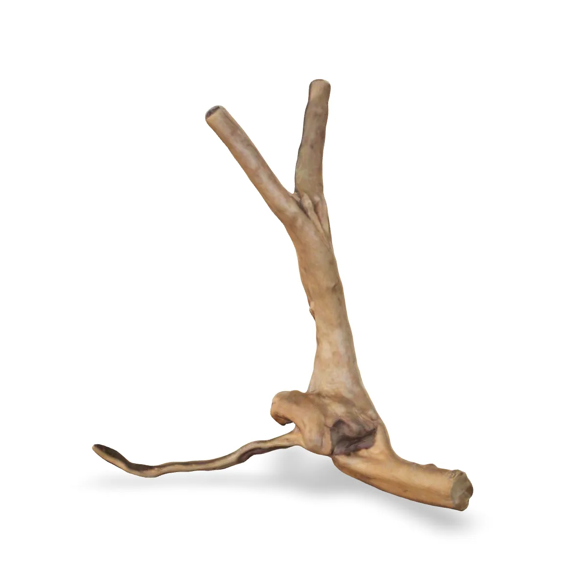 Rote Moorwurzel - Finger Wurzel 3D Nr. 672 (19x19x13cm)
