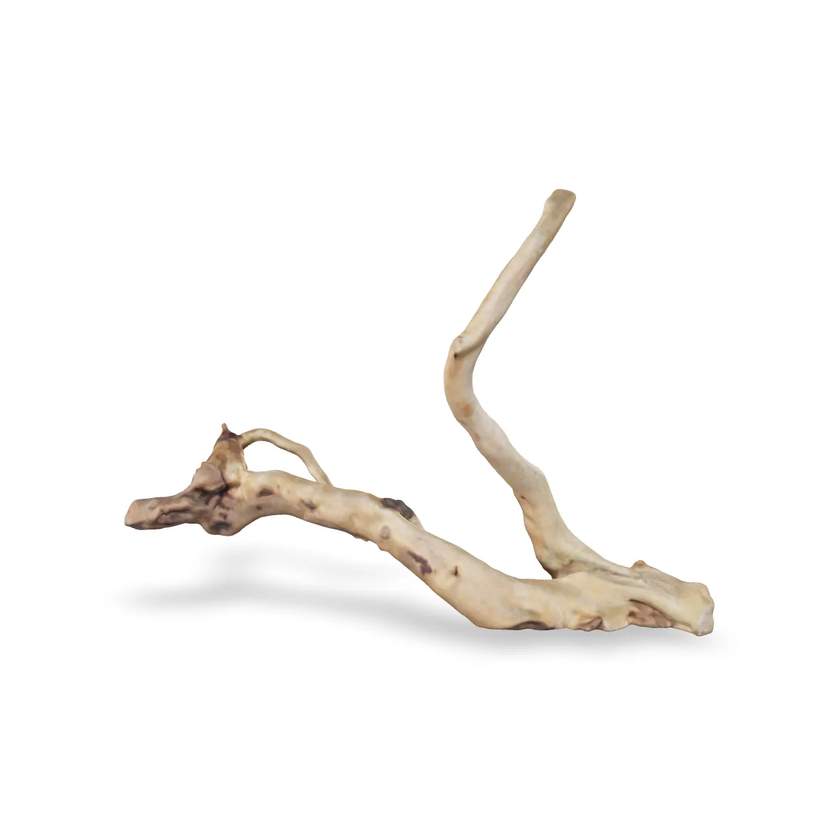 Rote Moorwurzel - Finger Wurzel 3D Nr. 675 (27x20x9cm)