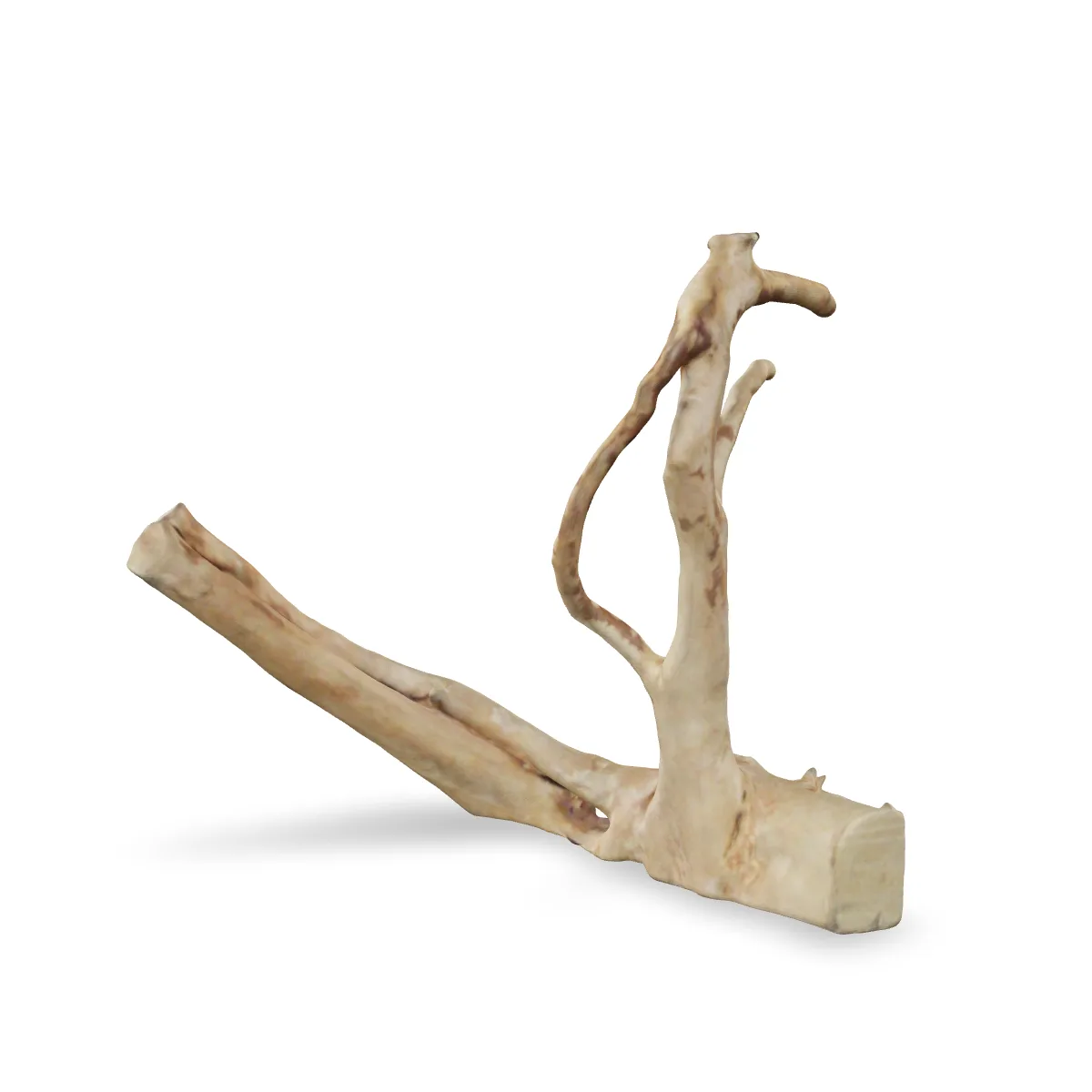 Rote Moorwurzel - Finger Wurzel 3D Nr. 677 (25x21x10cm)