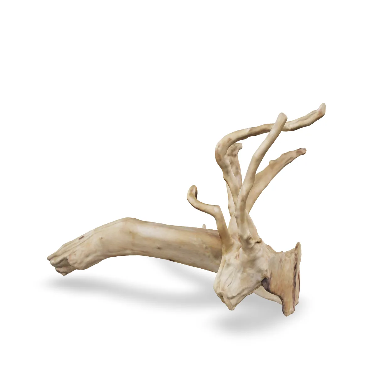 Rote Moorwurzel - Finger Wurzel 3D Nr. 682 (28x16x15cm)