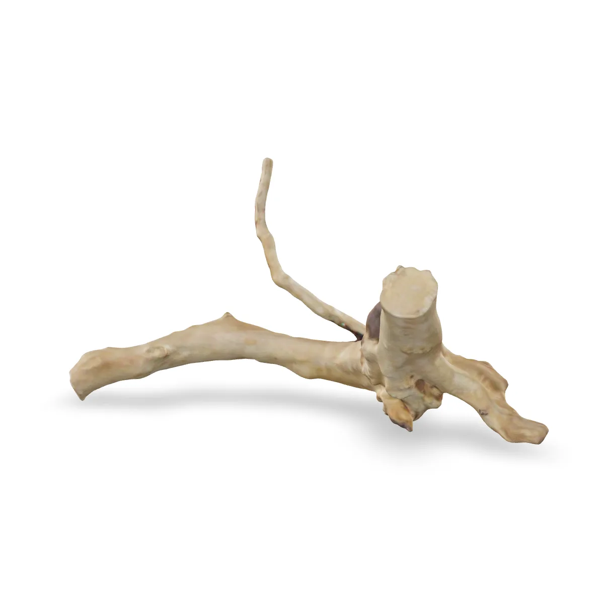 Rote Moorwurzel - Finger Wurzel 3D Nr. 683 (27x12x13cm)