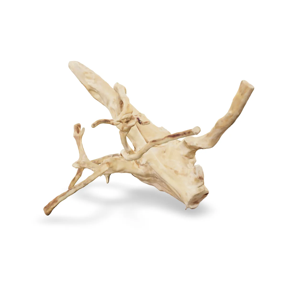 Rote Moorwurzel - Finger Wurzel 3D Nr. 703 (26x19x18cm)
