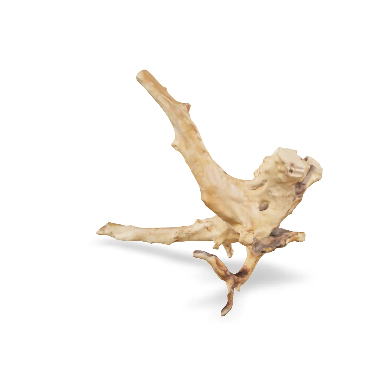 Rote Moorwurzel - Finger Wurzel 3D Nr. 704 (25x22x13cm)