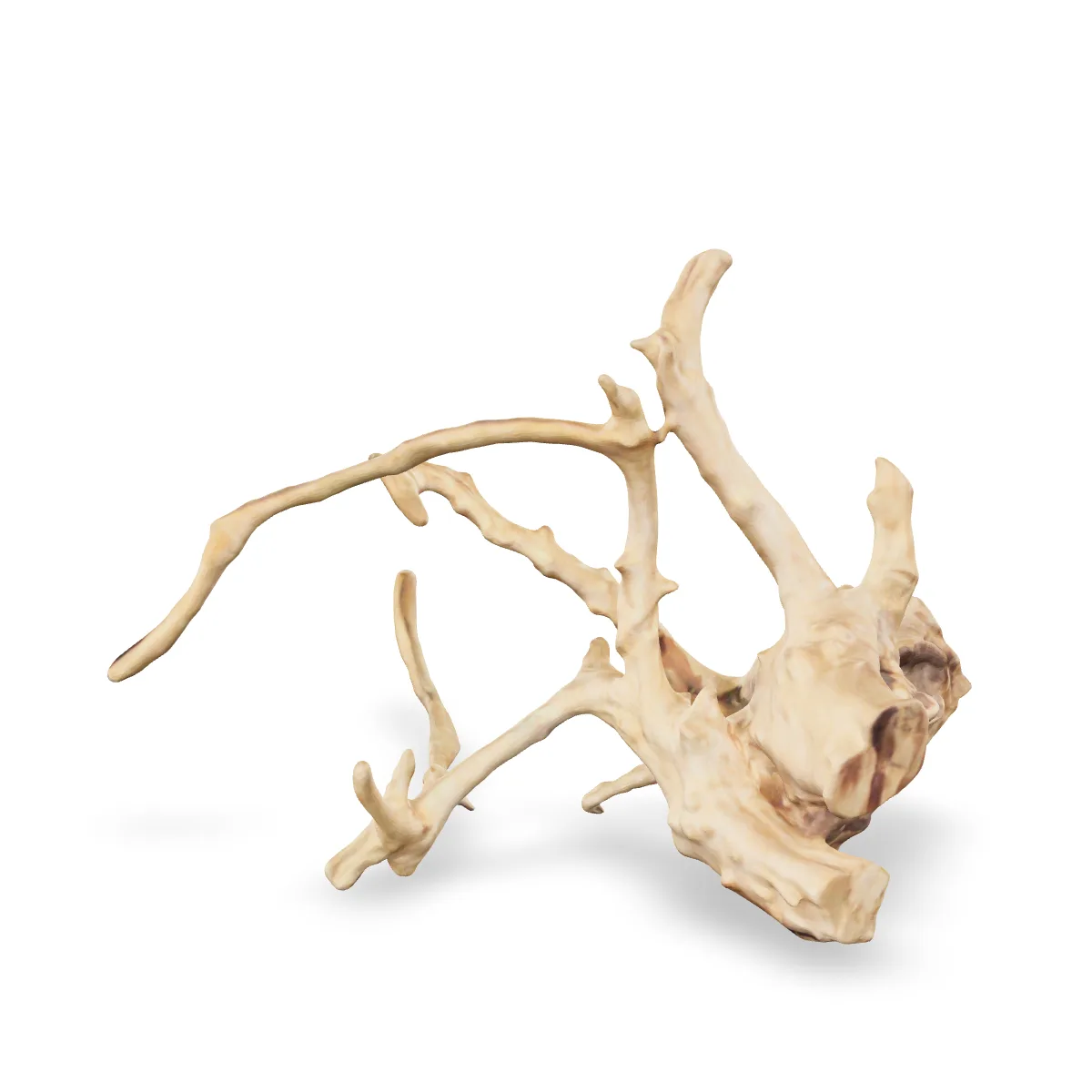 Rote Moorwurzel - Finger Wurzel 3D Nr. 705 (25x20x14cm)