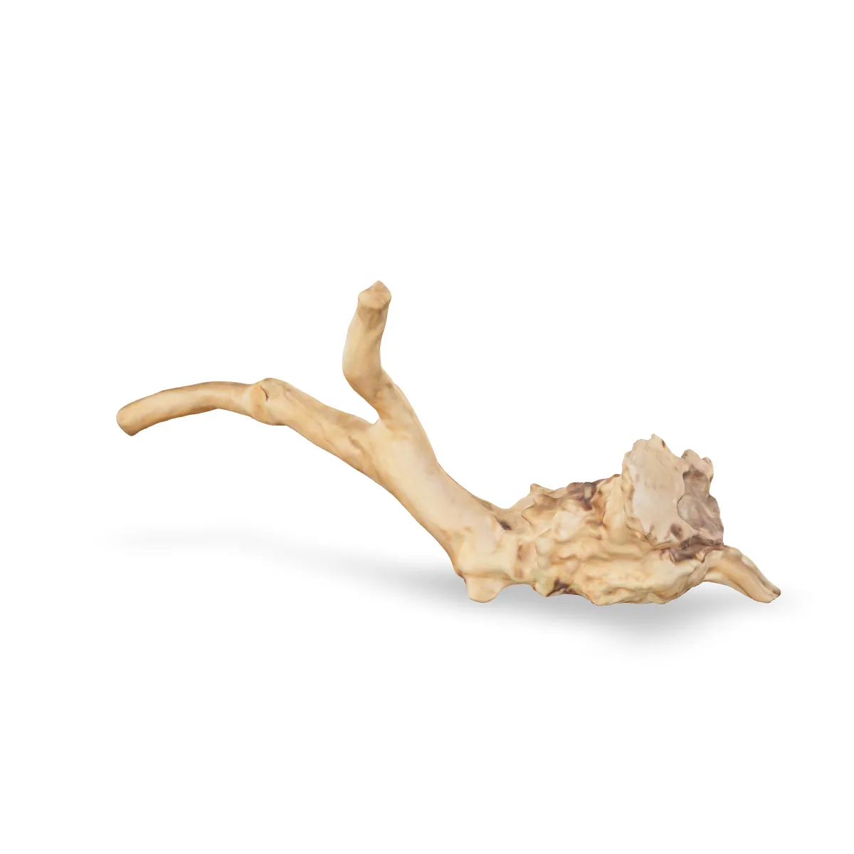 Rote Moorwurzel - Finger Wurzel 3D Nr. 706 (29x13x8cm)