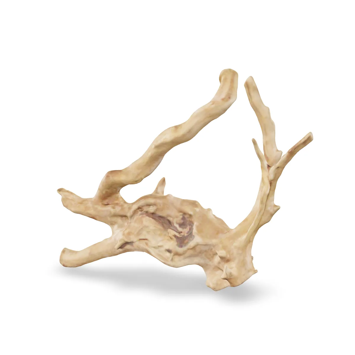 Rote Moorwurzel - Finger Wurzel 3D Nr. 709 (25x16x6cm)
