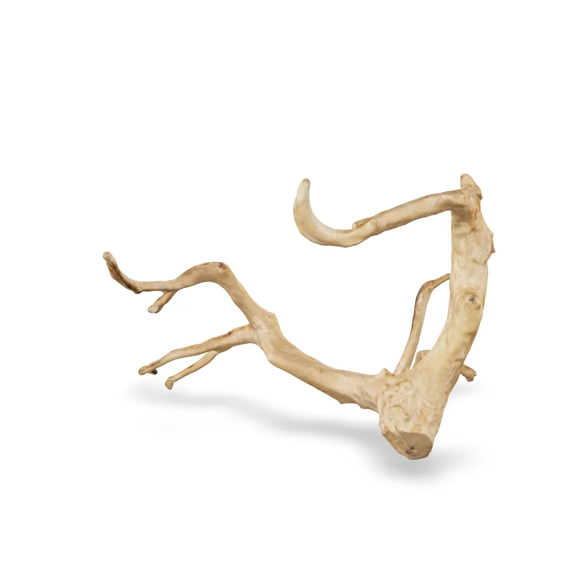 Rote Moorwurzel - Finger Wurzel 3D Nr. 716 (45x46x24cm)