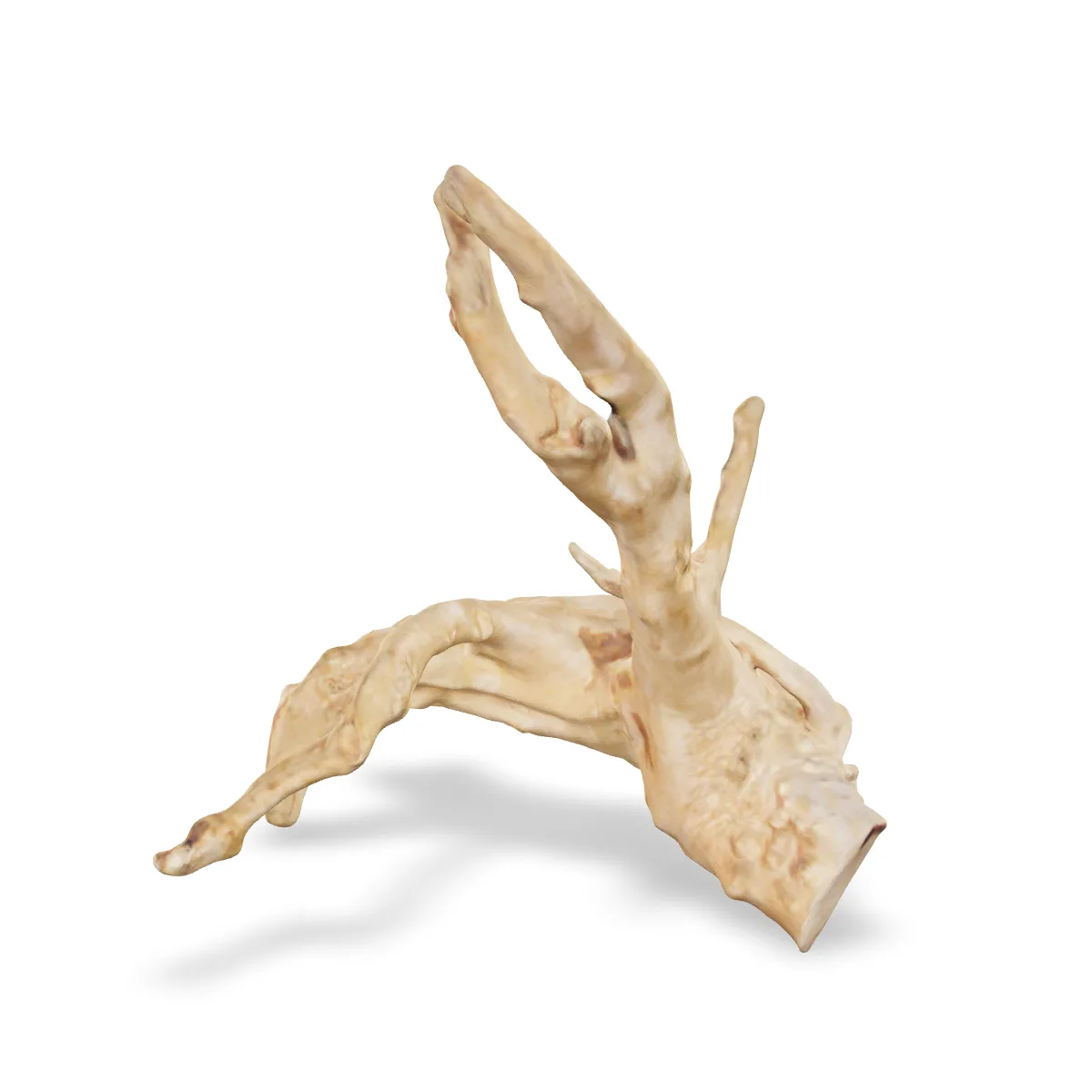 Rote Moorwurzel - Finger Wurzel 3D Nr. 724 (24x19x17cm)
