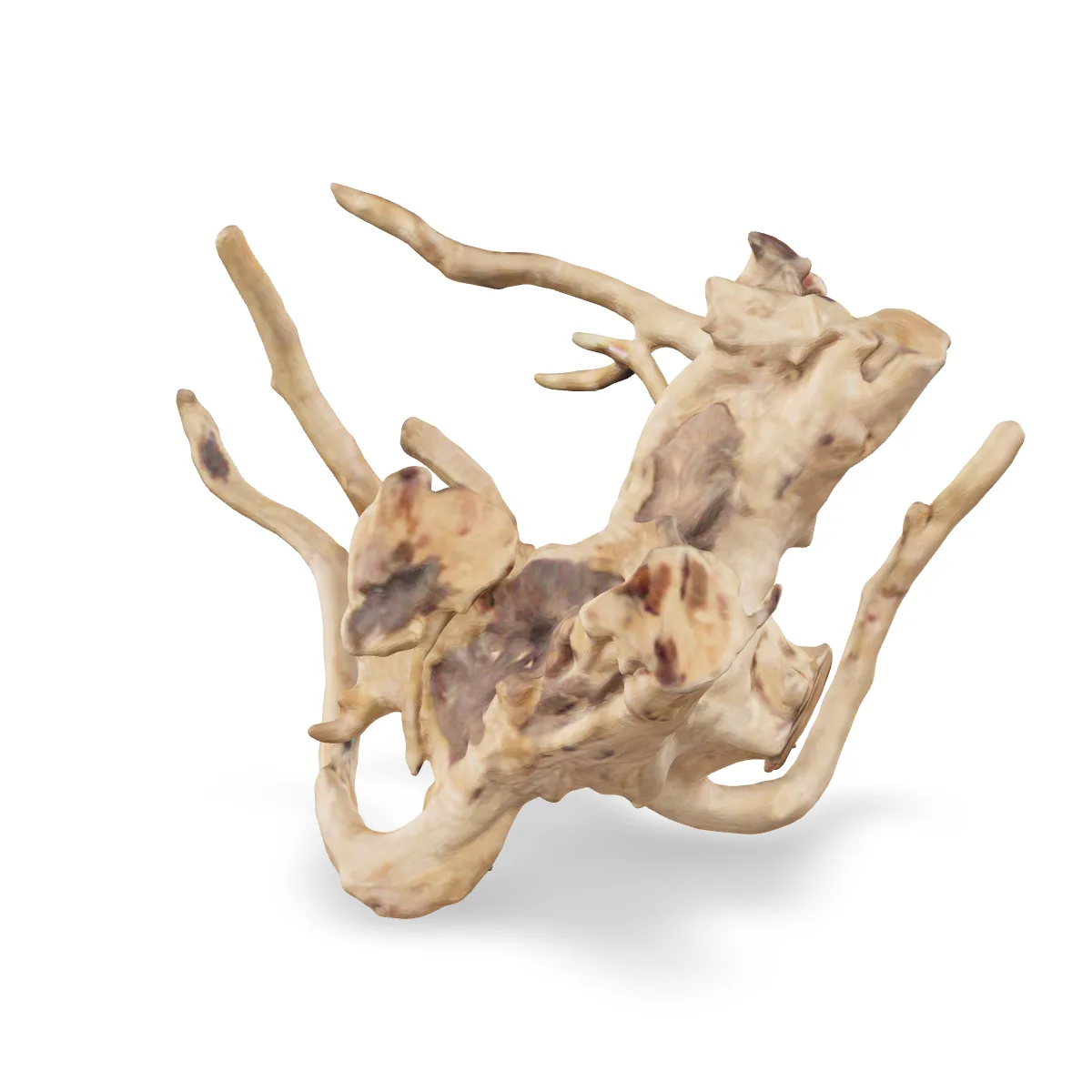 Rote Moorwurzel - Finger Wurzel 3D Nr. 733 (21x17x12cm)