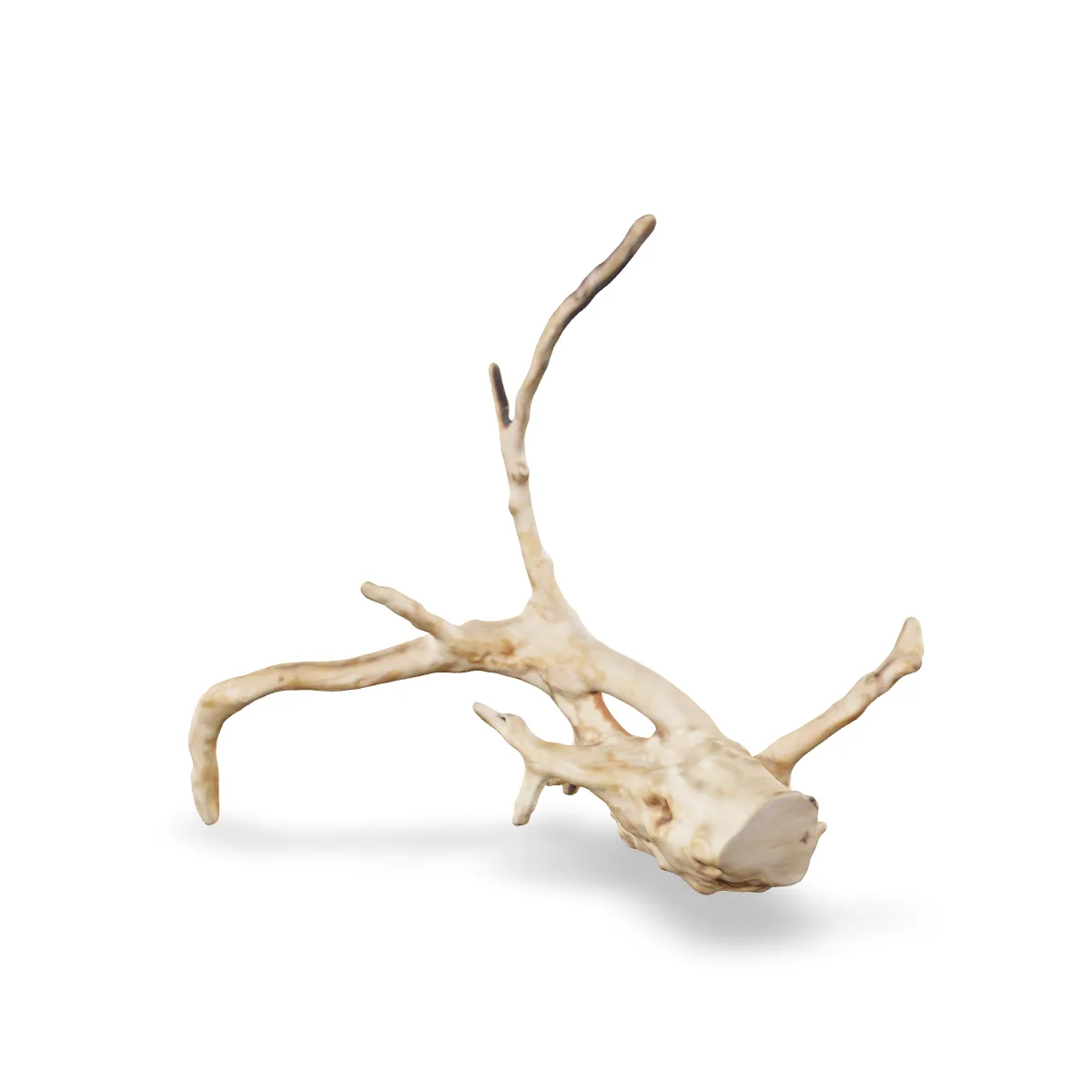 Rote Moorwurzel - Finger Wurzel 3D Nr. 734 (26x19x9cm)