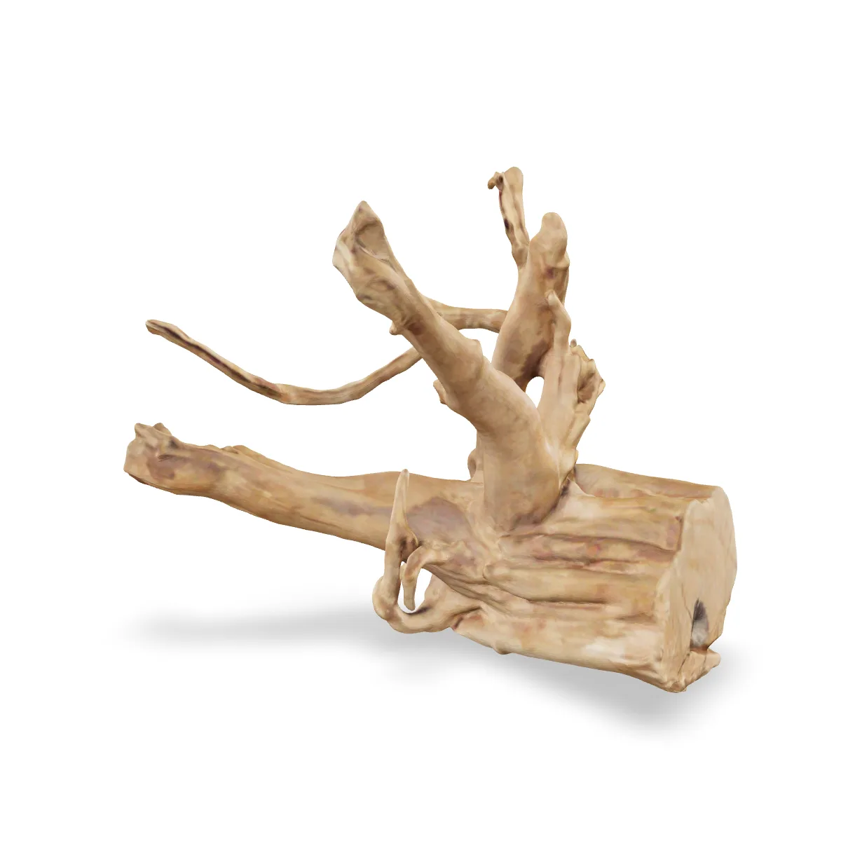 Rote Moorwurzel - Finger Wurzel 3D Nr. 740 (21x19x17cm)