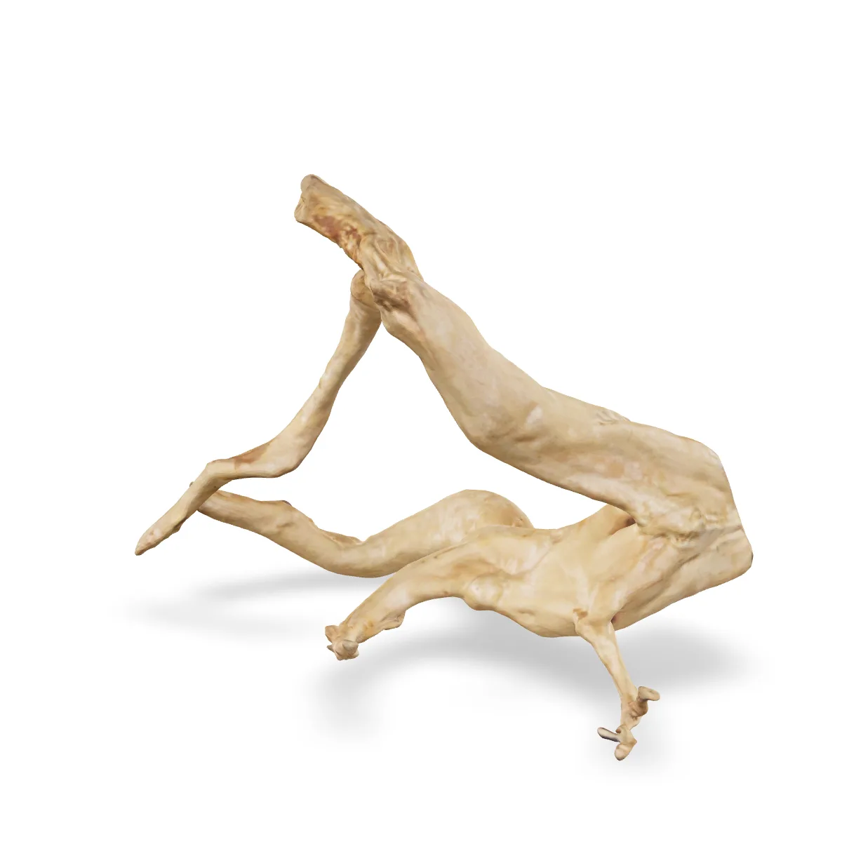 Rote Moorwurzel - Finger Wurzel 3D Nr. 746 (36x30x20cm)