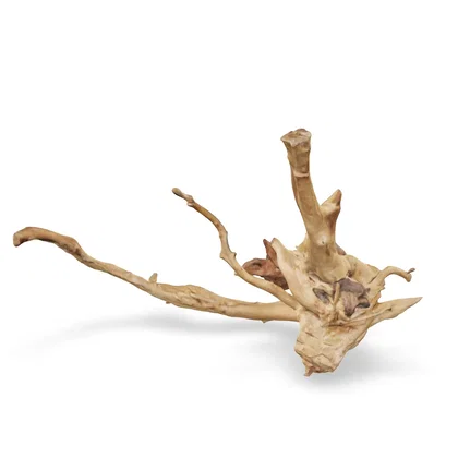 Rote Moorwurzel - Finger Wurzel 3D Nr. 749 (45x35x20cm)