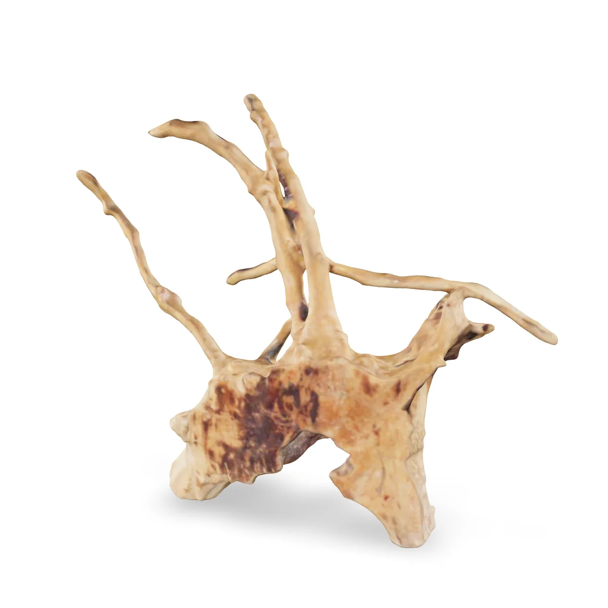 Rote Moorwurzel - Finger Wurzel 3D Nr. 751 (23x20x8cm)
