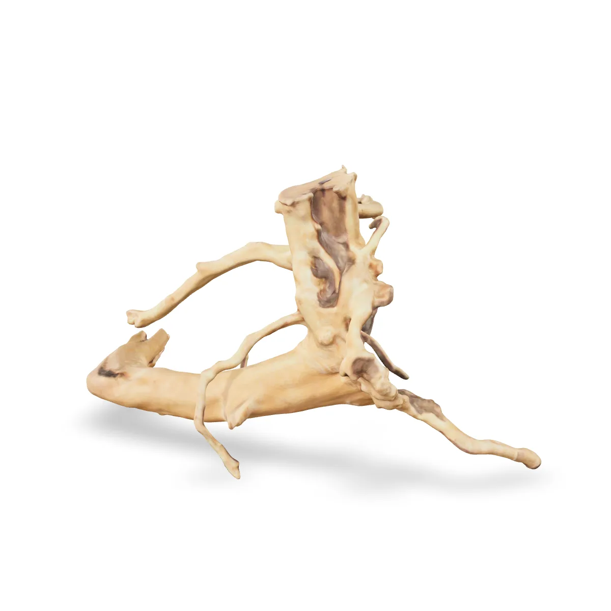 Rote Moorwurzel - Finger Wurzel 3D Nr. 754 (27x17x11cm)