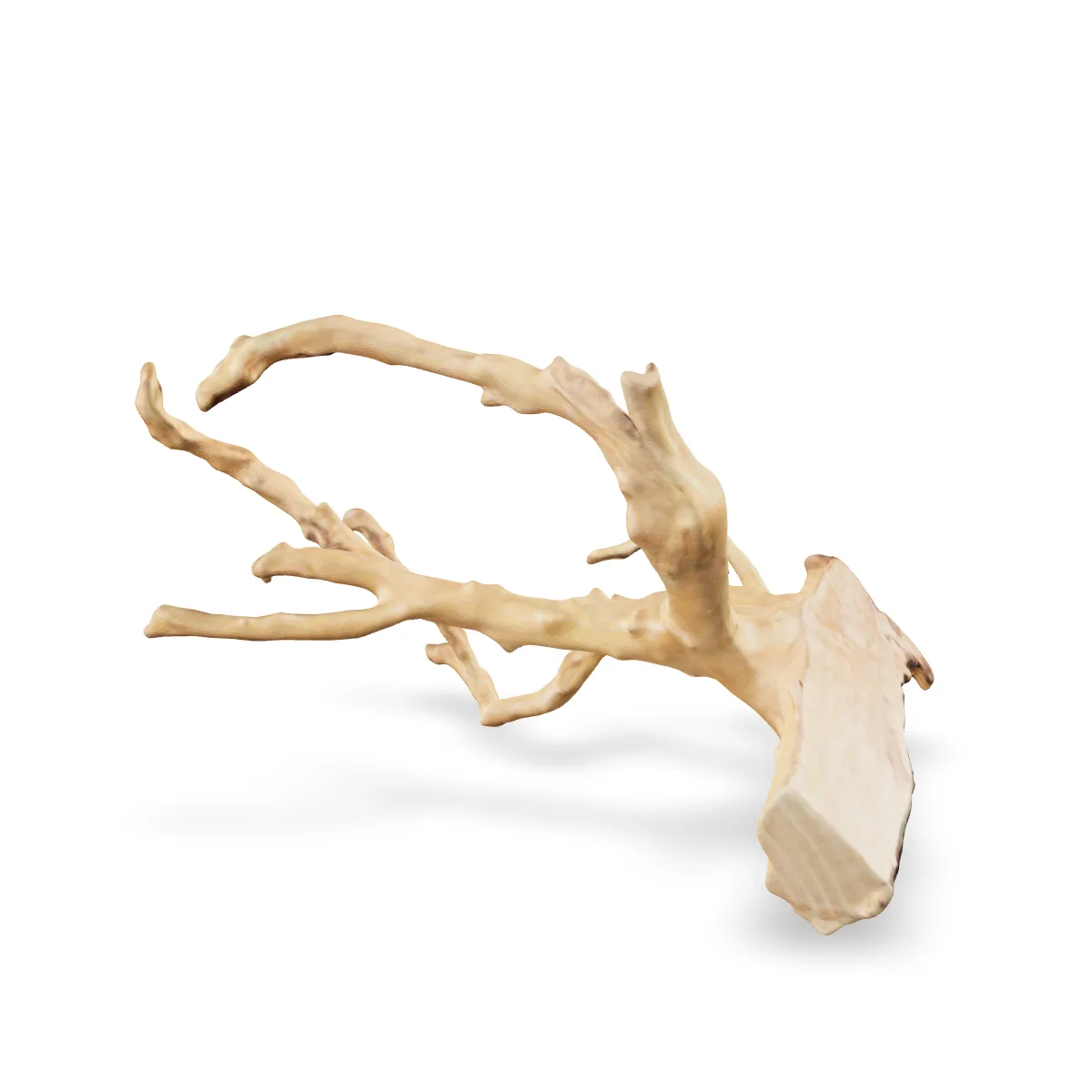 Rote Moorwurzel - Finger Wurzel 3D Nr. 756 (21x21x11cm)