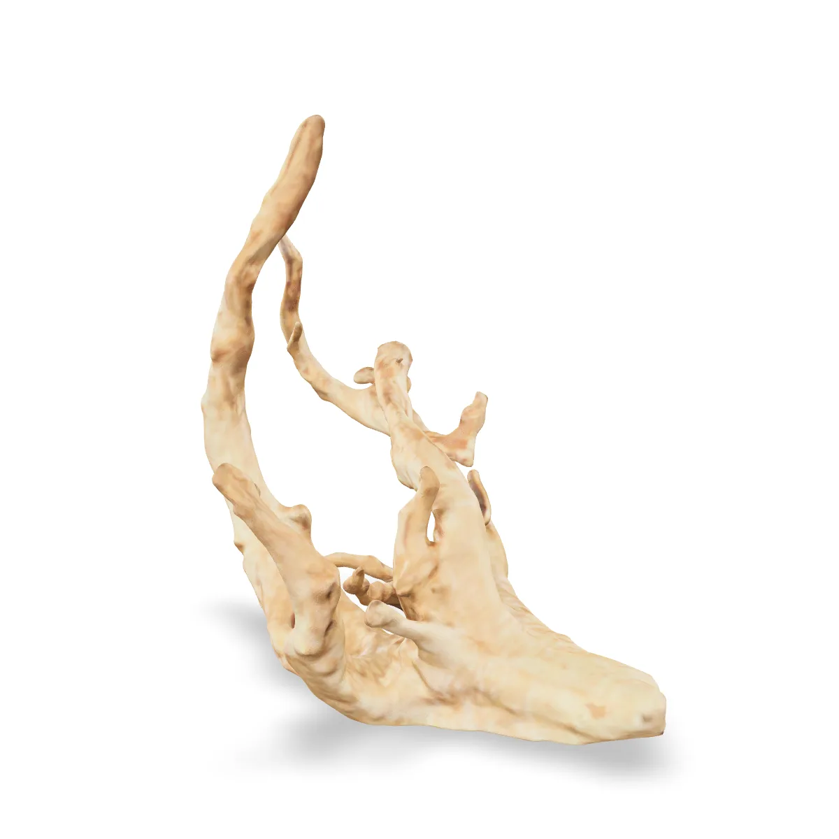 Rote Moorwurzel - Finger Wurzel 3D Nr. 760 (19x18x13cm)