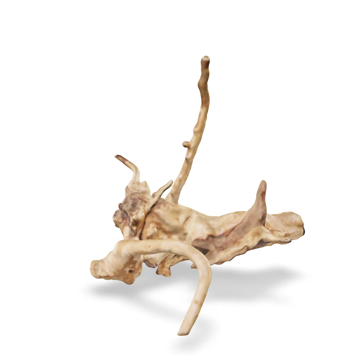 Rote Moorwurzel - Finger Wurzel 3D Nr. 765 (18x18x14cm)