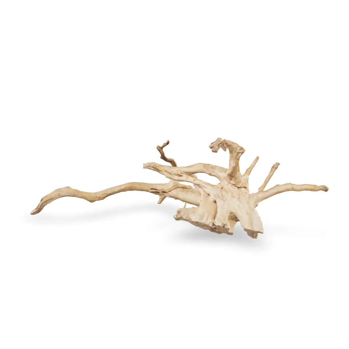 Rote Moorwurzel - Finger Wurzel 3D Nr. 780 (57x20x20cm)