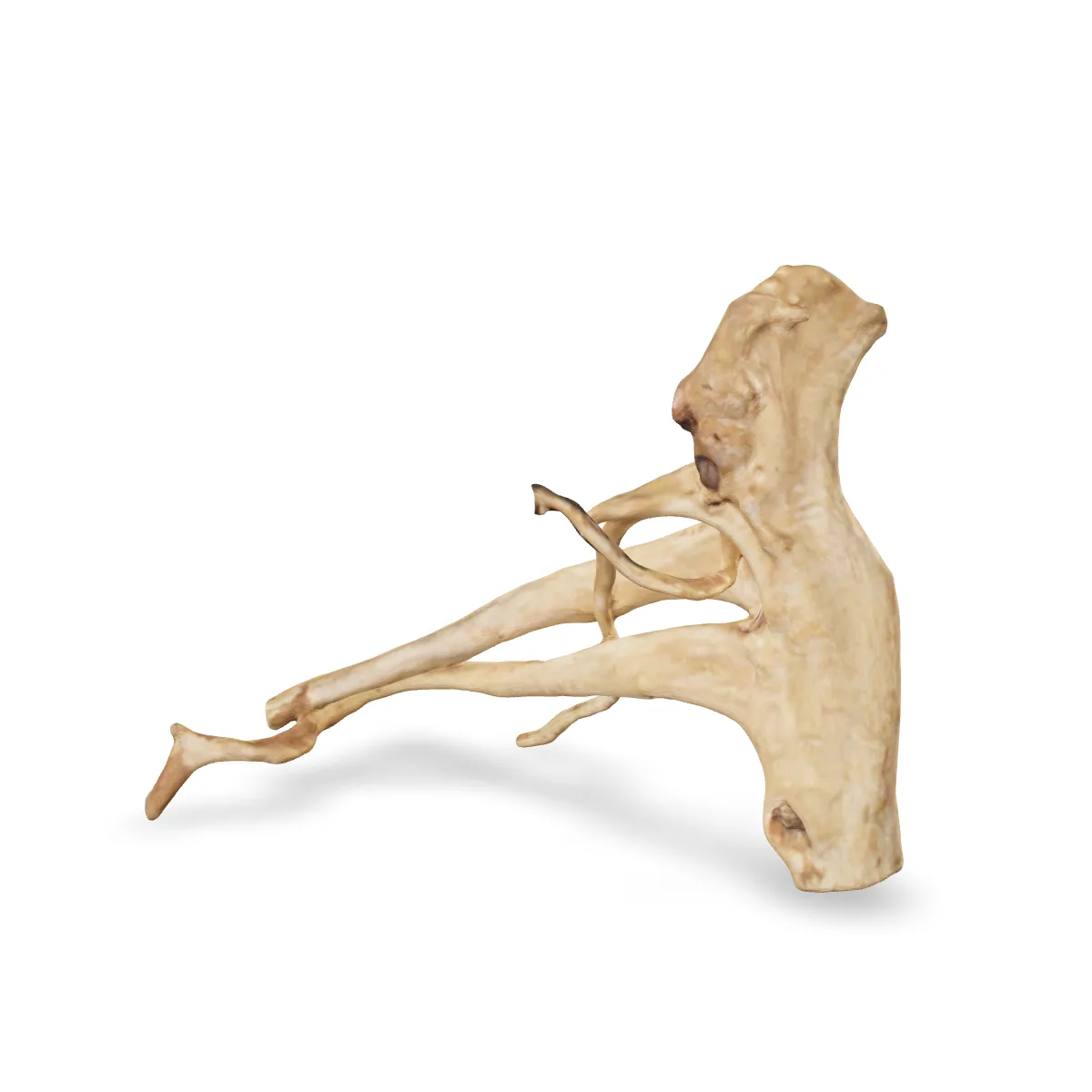Rote Moorwurzel - Finger Wurzel 3D Nr. 784 (25x21x11cm)