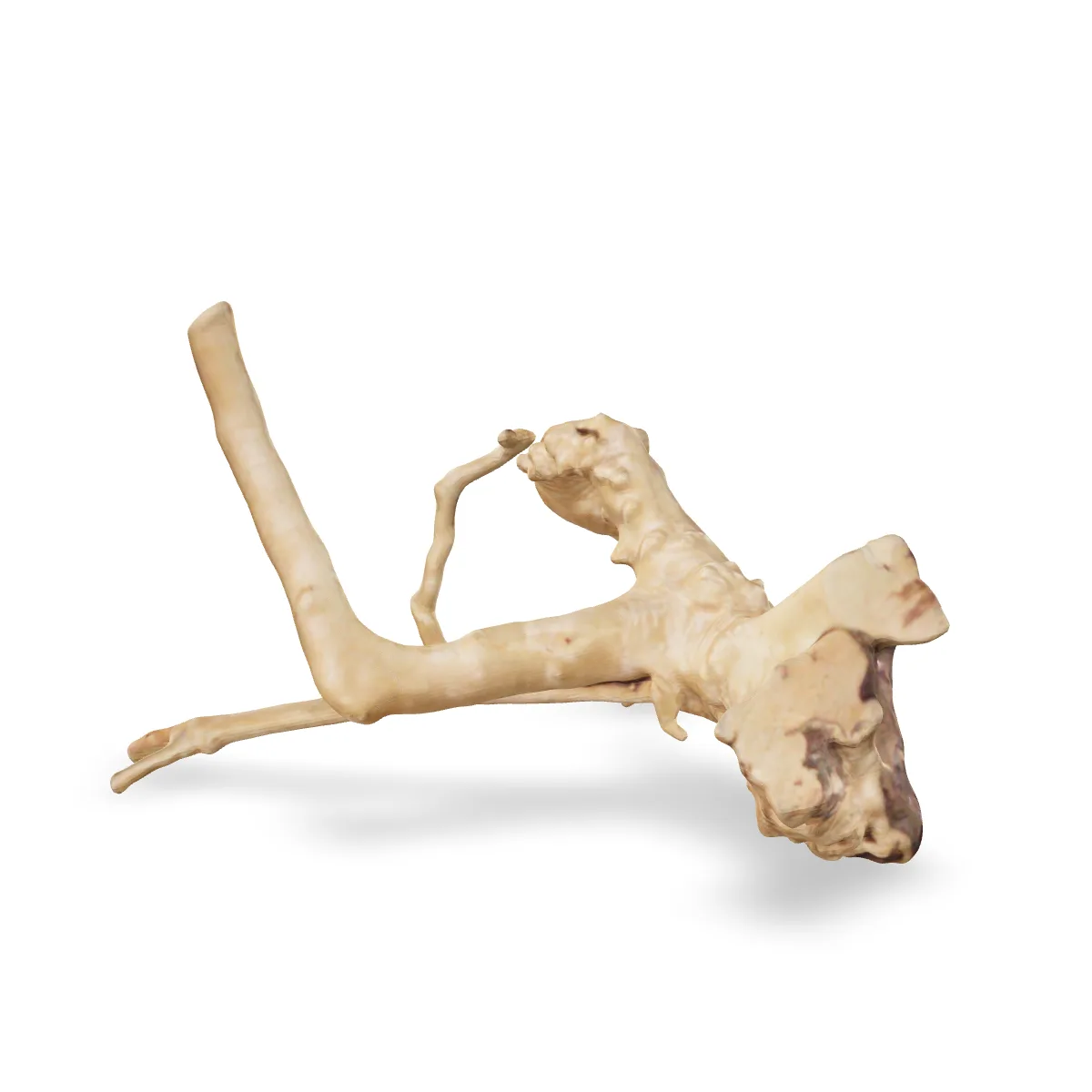 Rote Moorwurzel - Finger Wurzel 3D Nr. 785 (23x14x14cm)