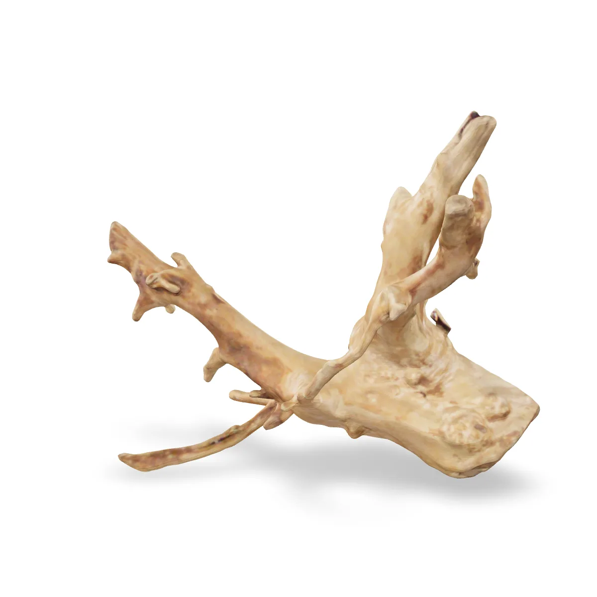 Rote Moorwurzel - Finger Wurzel 3D Nr. 787 (21x21x8cm)