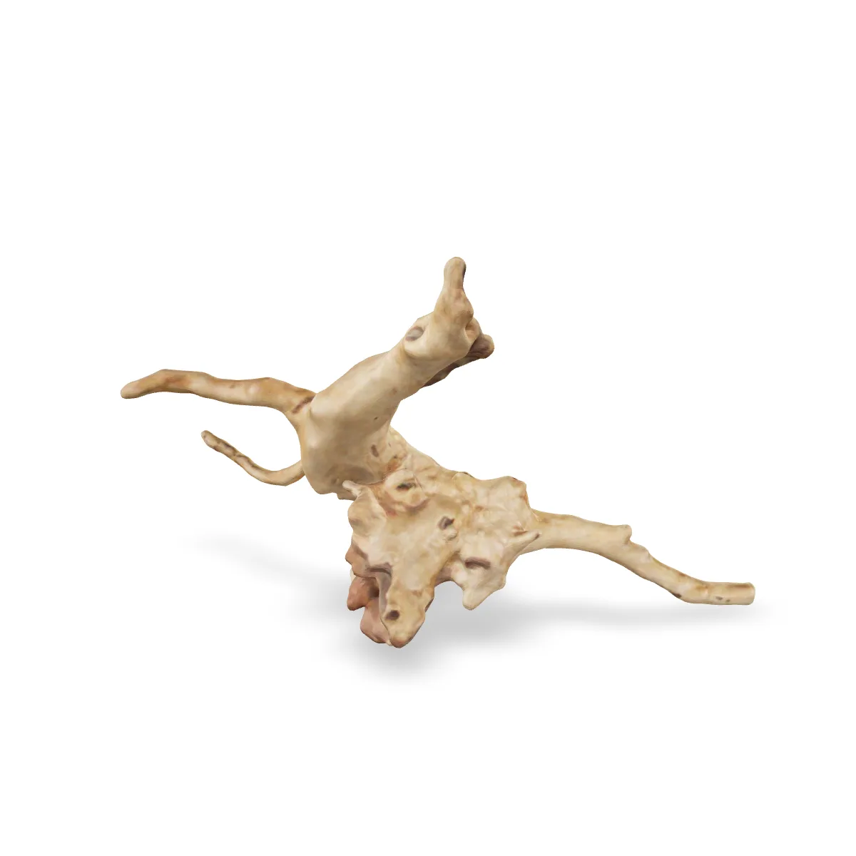 Rote Moorwurzel - Finger Wurzel 3D Nr. 788 (25x18x13cm)