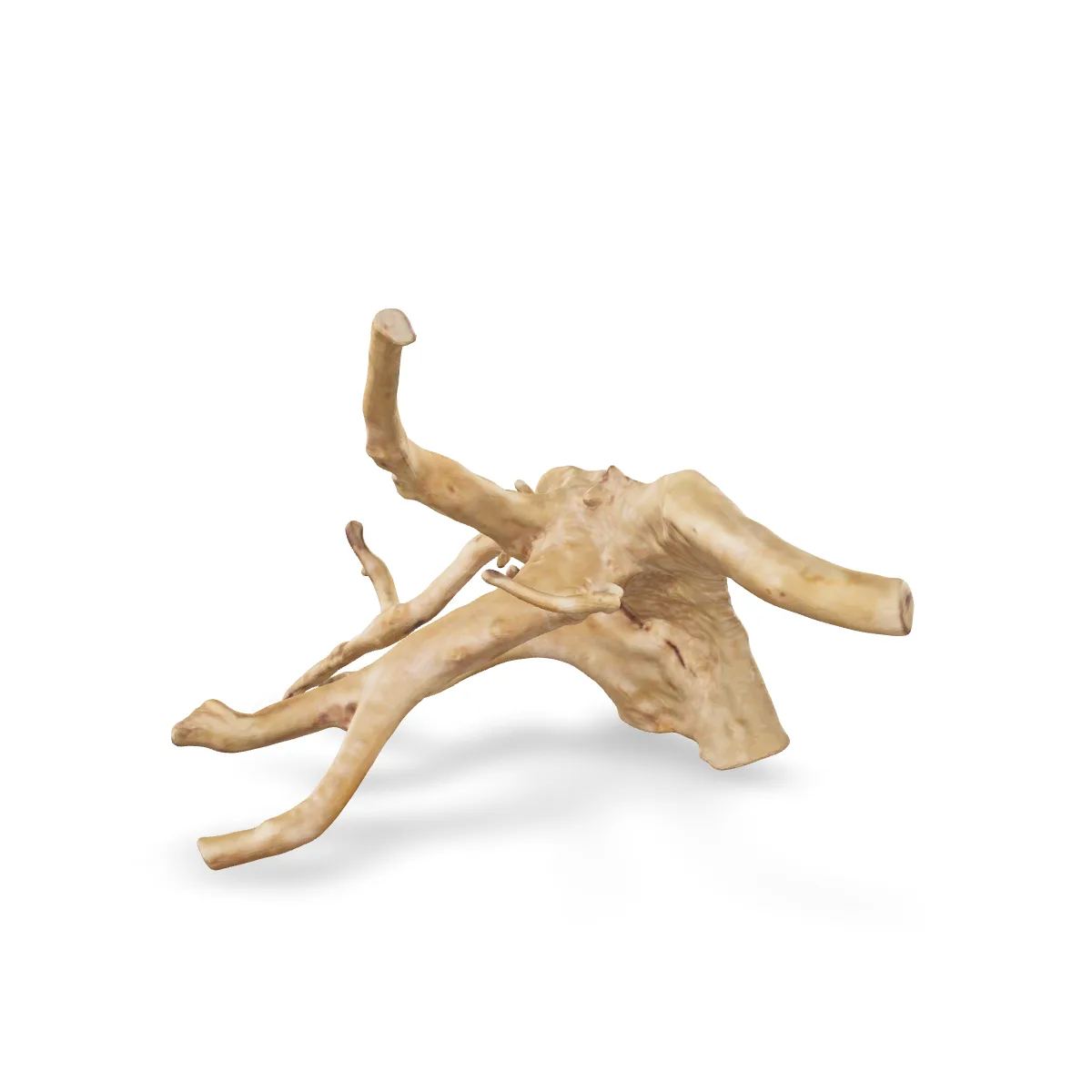 Rote Moorwurzel - Finger Wurzel 3D Nr. 789 (26x18x19cm)