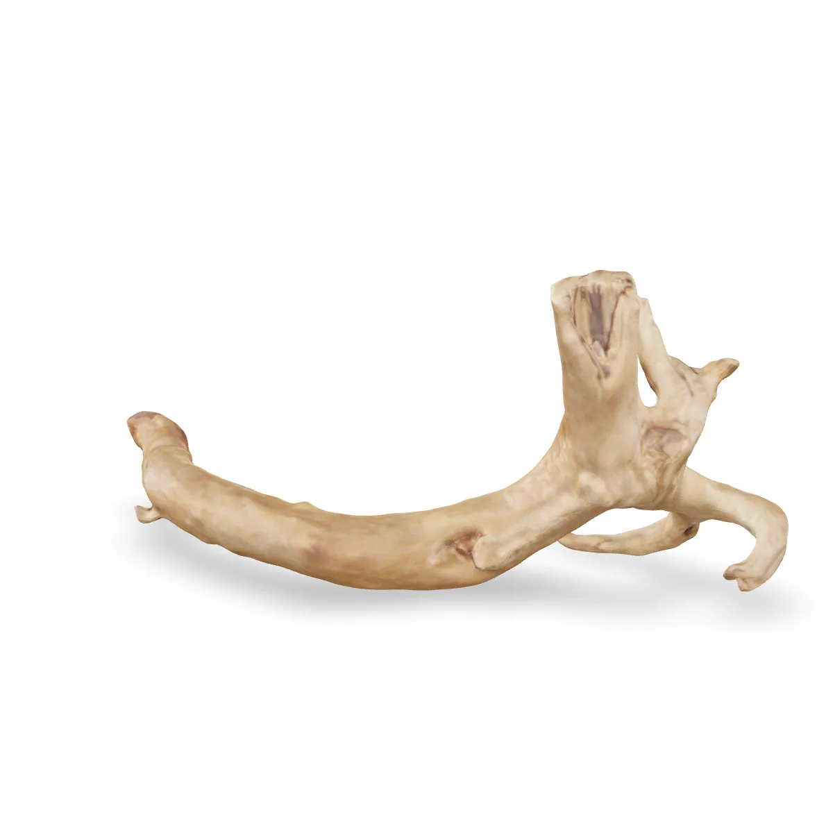 Rote Moorwurzel - Finger Wurzel 3D Nr. 791 (27x13x9cm)