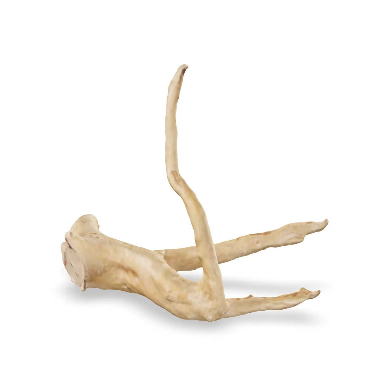 Rote Moorwurzel - Finger Wurzel 3D Nr. 792 (23x13x18cm)