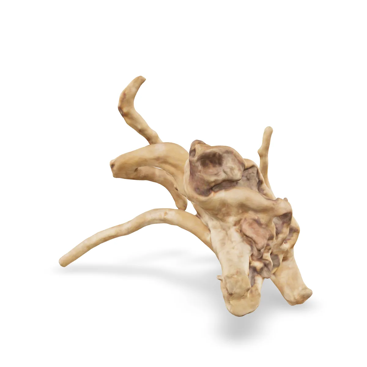 Rote Moorwurzel - Finger Wurzel 3D Nr. 795 (22x18x18cm)
