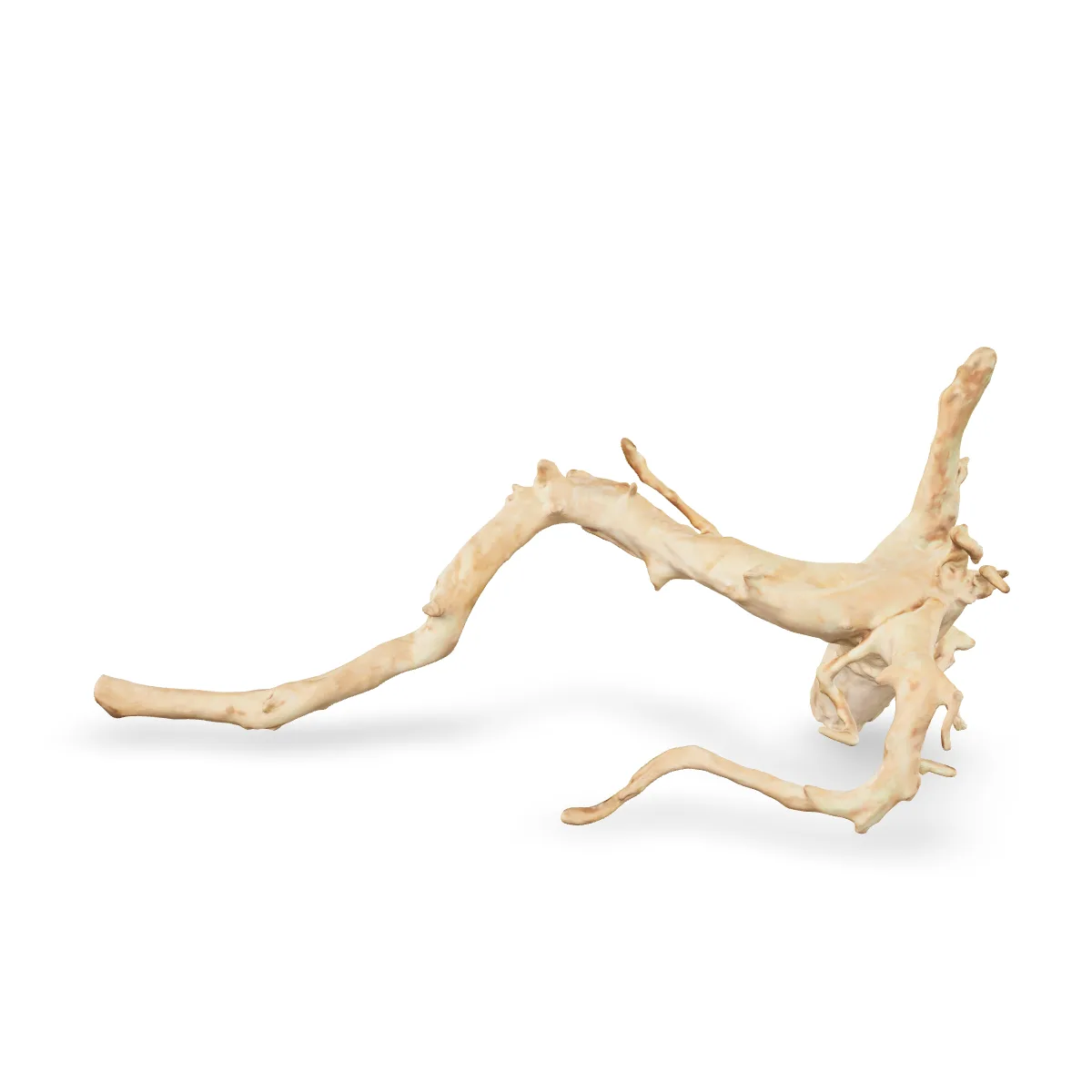 Rote Moorwurzel - Finger Wurzel 3D Nr. 807 (55x28x16cm)