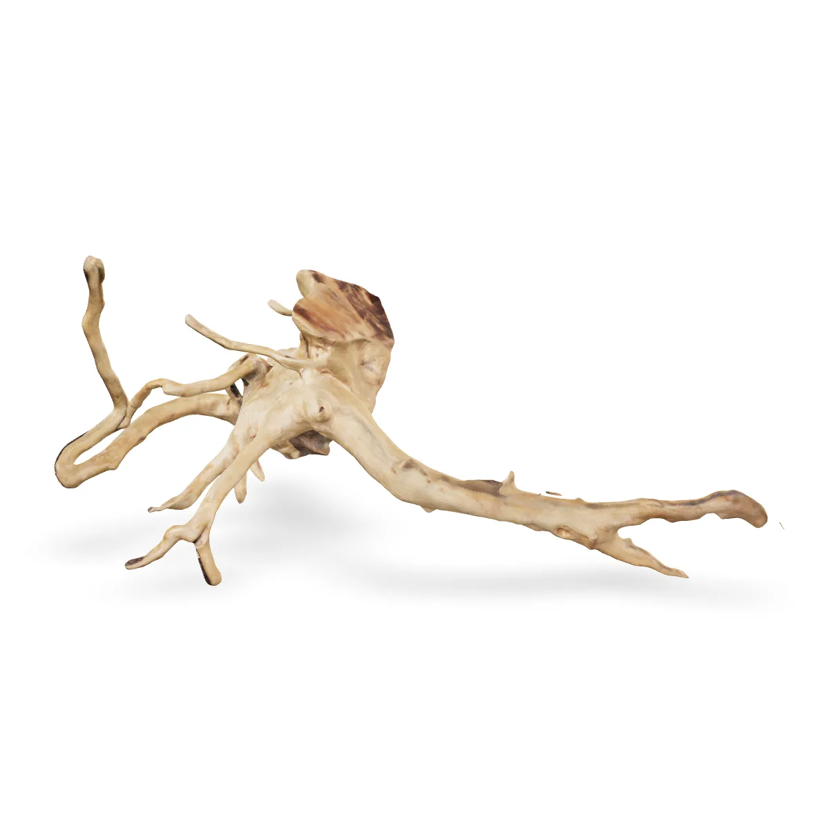 Rote Moorwurzel - Finger Wurzel 3D Nr. 846 (51x26x19cm)